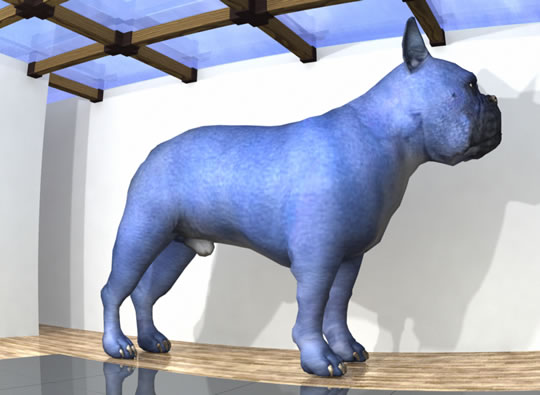 The Blue Dog